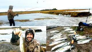 Increible pesca de Pejerreyes de orilla!