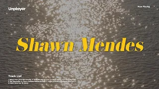 [Playlist] 듣자마자 플리에 추가하는 Shawn Mendes(션 멘데스) 모음 | Shawn Mendes Playlist