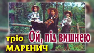 Тріо Маренич - Ой, пiд вишнею