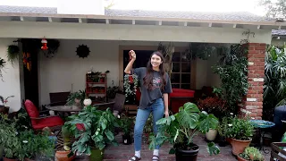 All The Houseplants I Keep Outdoors | Plant Tour
