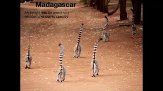 Buxton Field Club - Madagascar's environments, wildlife and endemic species