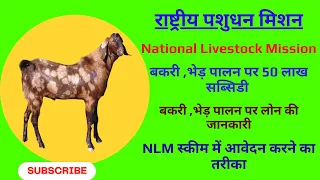 NLM #national #livestock #mission बकरी पालन पर 50 लाख सब्सिडी How to get Bank #loan for #goat Farm