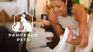 Christi McGarry’s ‘pampered pets’ will make your heart melt | Pampered Pets