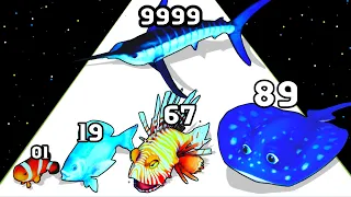 FISH RUSH - Evolution ( Run evolution) Level Up Fish All Level Gameplay, Max Level