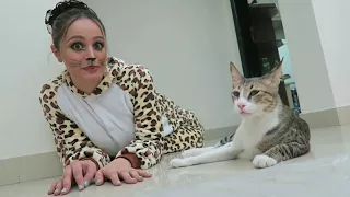 Mo Vlogs Kitty and Bubbles Part 8