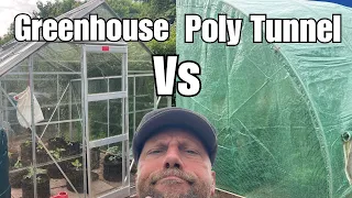 Greenhouse Vs Poly Tunnel | Let’s take a 👀 | Pros | Cons | Beginners Allotment UK
