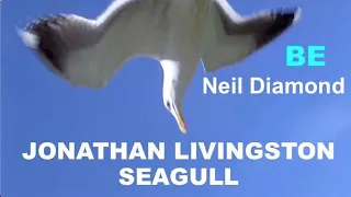 Music+Cinema: Be/ Neil Diamond- Jonathan Livingston Seagull (En/Fr Lyrics)