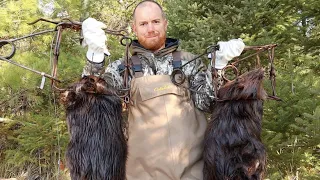 "How And Where To Set Beaver Traps" Beaver Trapping Basics Part 2