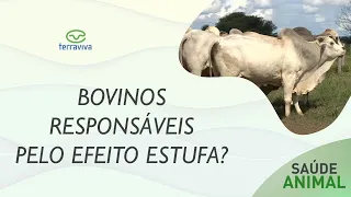 BOVINOS E OS GASES DO EFEITO ESTUFA