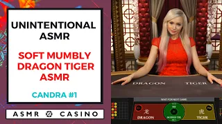 Soft & Mumbly Unintentional ASMR Casino - Dragon Tiger (Hi-Lo) - AMAZING - Candra #1