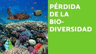 PÉRDIDA de la BIODIVERSIDAD: CAUSAS y CONSECUENCIAS