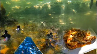 MASSIVE SALT WATER CROCODILE 🐊 ENCOUNTER IN THE MANGROVE WE HAD TO LEAVE EPIC