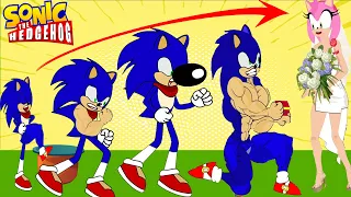 Cartoon Sonic Boom Growing Up Compilation Bodybuilder, Sonic vs mario tails, Shadow Mommy long legs