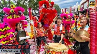 Lion Dance by Yi Xuan Gong 雪州蒲种义玄宫龙狮团 @ Symphonic Jasa 紫红黄醒狮 开张贺庆 舞狮採青 天降财神 鼓乐伴奏