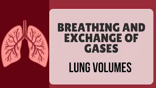 LUNG VOLUMES|| CLASS 12- BREATHING AND EXCHANGE OF GASES