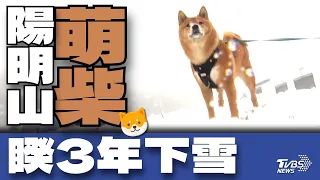 銀雪染白台灣4山岳 周二夜周三晨最凍【TVBS新聞精華】20240123@TVBSNEWS01