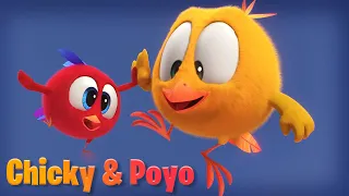 Onde está Chicky? 2023 | COMPILAÇÃO 30 MINUTOS | Desenhos Animados Infantil | Novos episódios