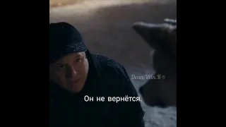 Хатико самый верный друг.