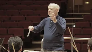 BRSO: Bernard Haitink dirigiert Beethovens 9. Symphonie (Auszug)