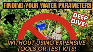 Tips & Tricks to FIND WATER PARAMETERS WITHOUT Using Aquarium TEST KITS OR TOOLS.