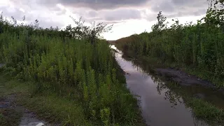 Поти Грузия Малтаква (новый район) прогулка по набережной, пляж/