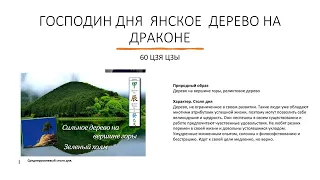 ВАШ ДЕНЬ РОЖДЕНИЯ - ЯНСКОЕ  ДЕРЕВО НА ДРАКОНЕ КОД  СУДЬБЫ