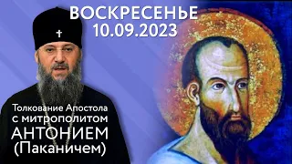 Воскресенье, 10 сентября 2023 года. Толкование Апостола с митр. Антонием (Паканичем).