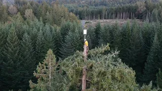 Starlink Tree Install at 120ft