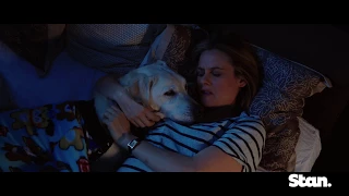Who Gets the Dog? (trailer) - now streaming on Stan.