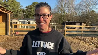 Morning Chores: Paddock Paradise Track System