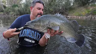 I Caught My Biggest Murray Cod Since 2022 While Fishing With Holly