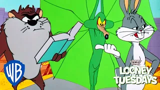 Looney Tuesdays | Do They Ever Learn their Lesson? | Looney Tunes | WB Kids