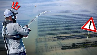 Je découvre enfin cette pêche incroyable dans un endroit spécial ! Attention combats musclés !