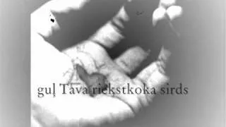 Tumsa - Riekstkoka sirds