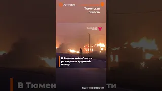 🟠В Тюменской области разгорелся крупный пожар