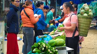 The process of growing bonsai, Harvesting garden vegetables,wasps,Ginger Going to the market to sell