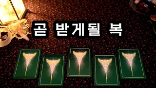 [타로] 나에게 곧 들어올 복