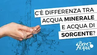 Che differenza c'è tra acqua minerale e acqua di sorgente?