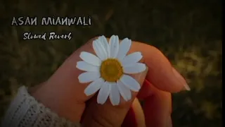 Asan Mianwali jawna ay|Slowed Reverb|Sariki Song|Useed Ahmad