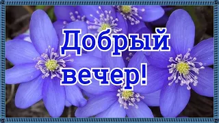 Добрый вечер! Мира и добра! Доброго уютного вечера и хорошего настроения!