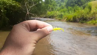 TROUT LOVE THIS LURE IN MERKY WATER!