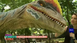 Expoziție de dinozauri în aer liber