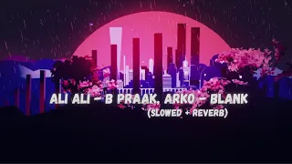 Ali Ali - B Praak, Arko - Blank [Slowed + Reverb] | Akshay Kumar | Sunny Deol & Karan Kapadia