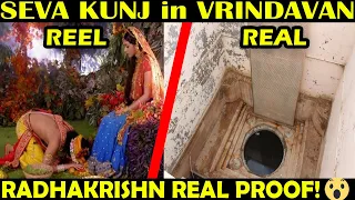 RADHA KRISHN REEL vs REAL - PART 2 | PROOF OF RADHAKRISHN | Places of Radhakrishn serial | SEVA KUNJ