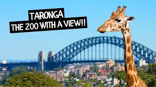 A Day at Taronga Zoo Sydney!!