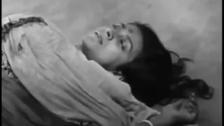 PATHER PANCHALI | trailer | ttff/18