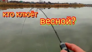 Мормышинг.Весна.Рыба клюёт и даже карась.