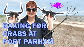 Raking For Blue Swimmer Crabs at Port Parham (Crabbing)