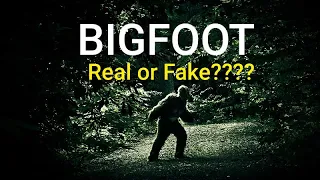 BIGFOOT: REAL OR FAKE? VIDEO EVIDENCE
