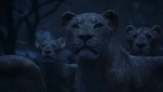 The Lion King 2019 - Circle of life [Reprise] (Kazakh) Subs & Trans